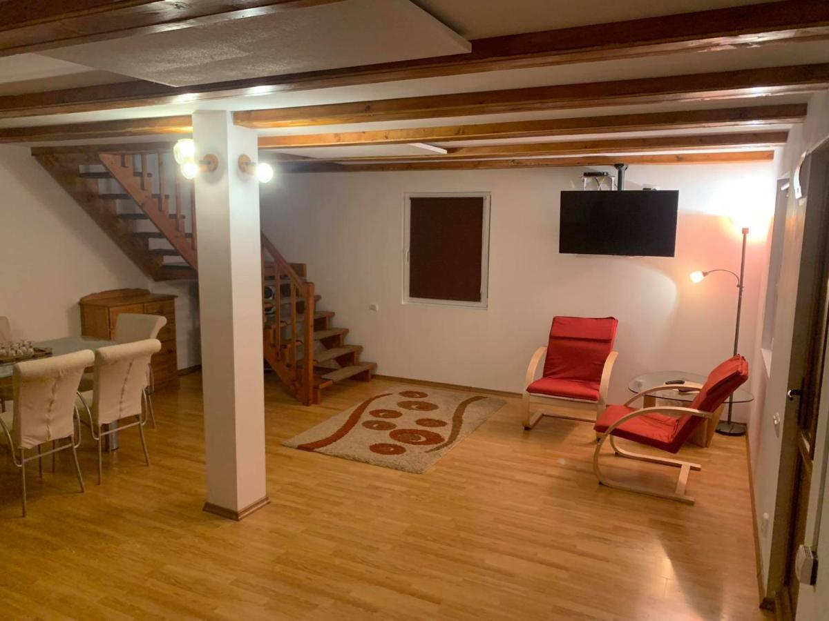 GeoagiuCasa Ana别墅 外观 照片