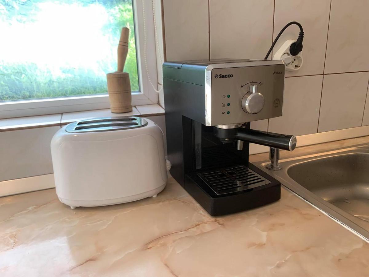GeoagiuCasa Ana别墅 外观 照片